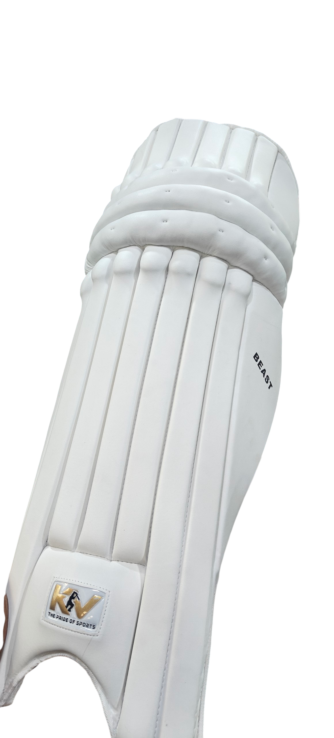 KV BEAST BATTING PADS