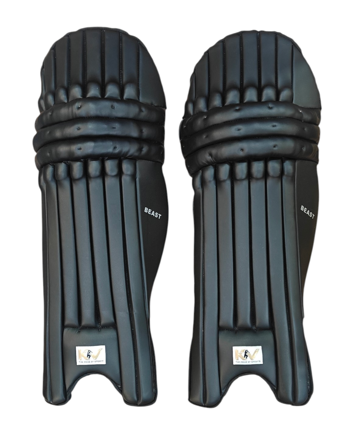 KV BEAST BATTING PADS