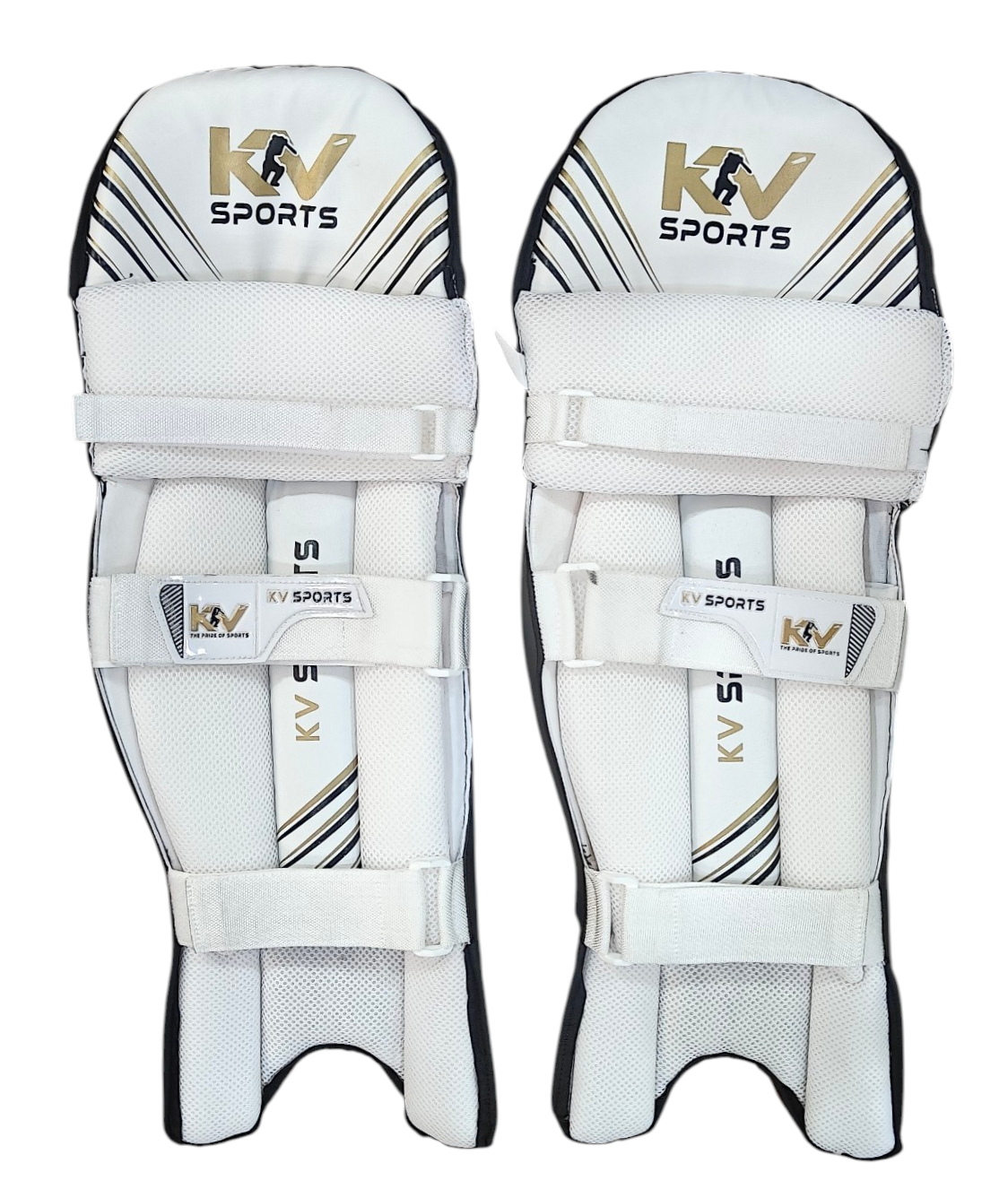 KV BEAST BATTING PADS