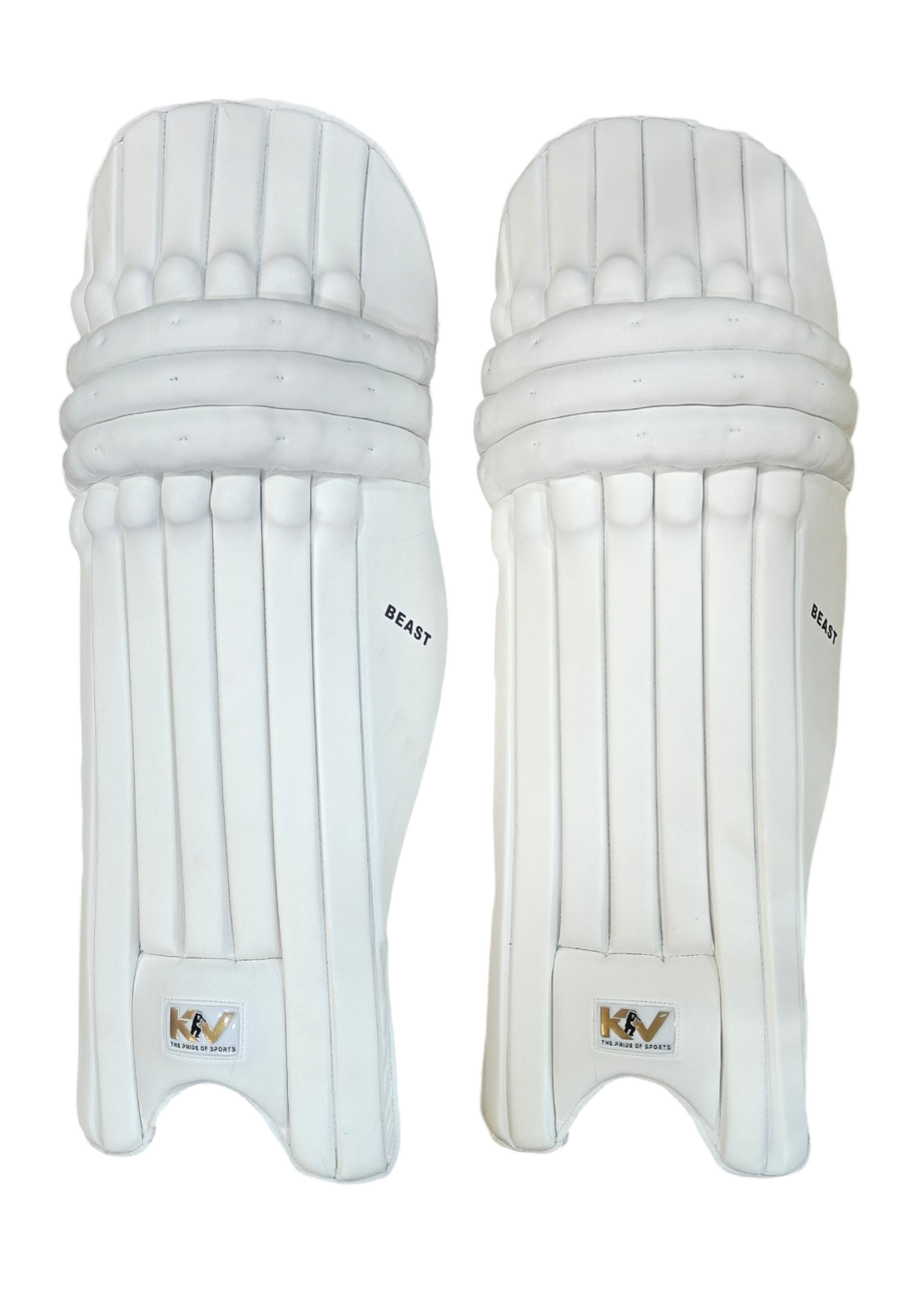 KV BEAST BATTING PADS