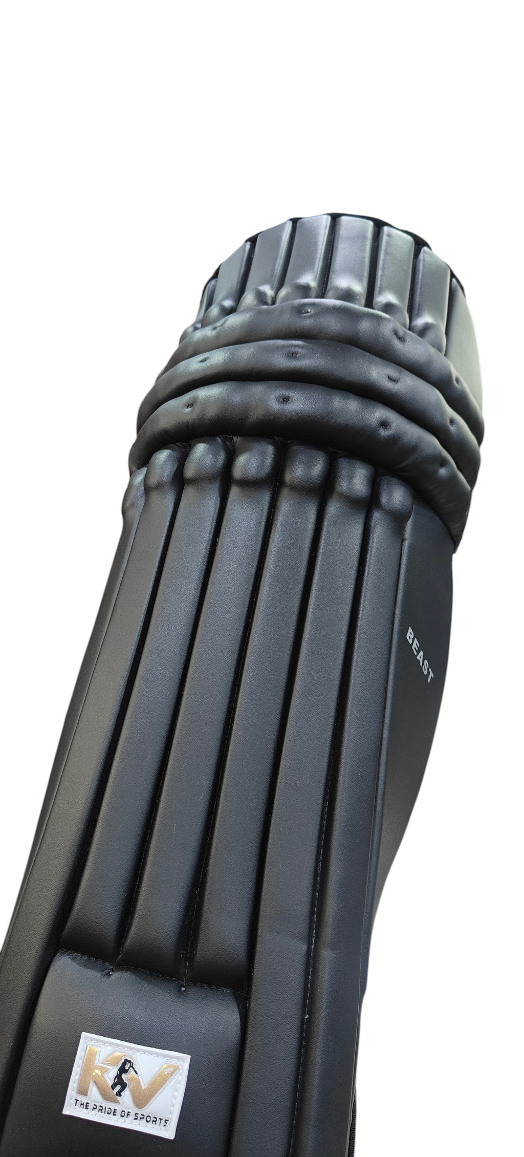 KV BEAST BATTING PADS